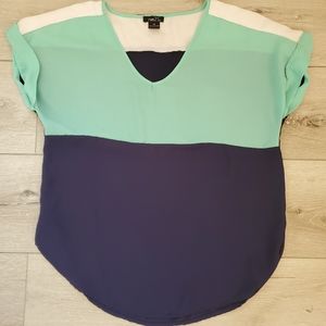 V neck blouse ‼️2/$20‼️